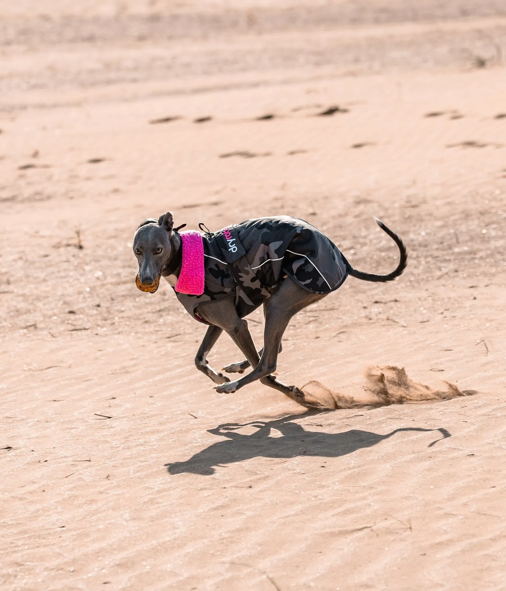 Dryrobe Dog Jacket (Dog Robe)