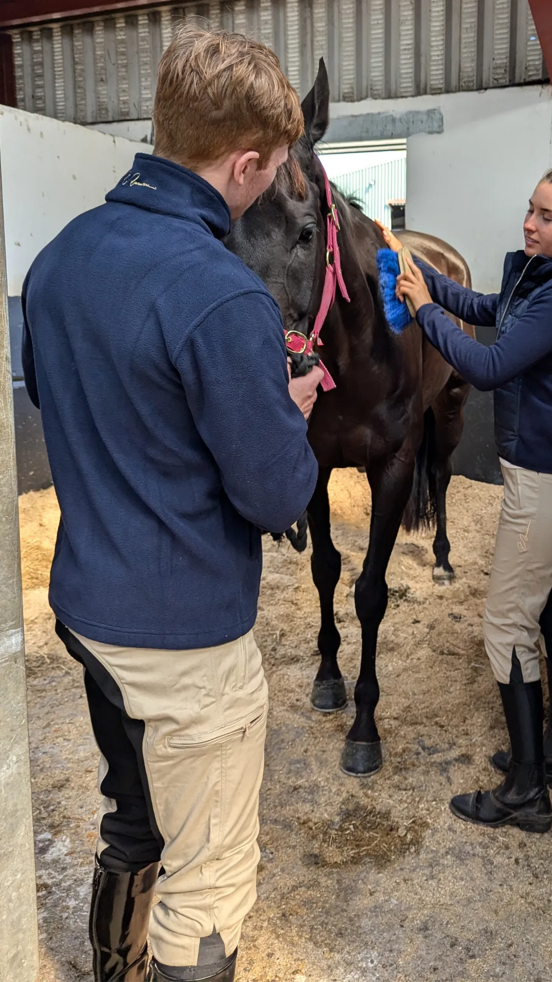 Paddock Fleece Jacket - Navy / Grey Trim