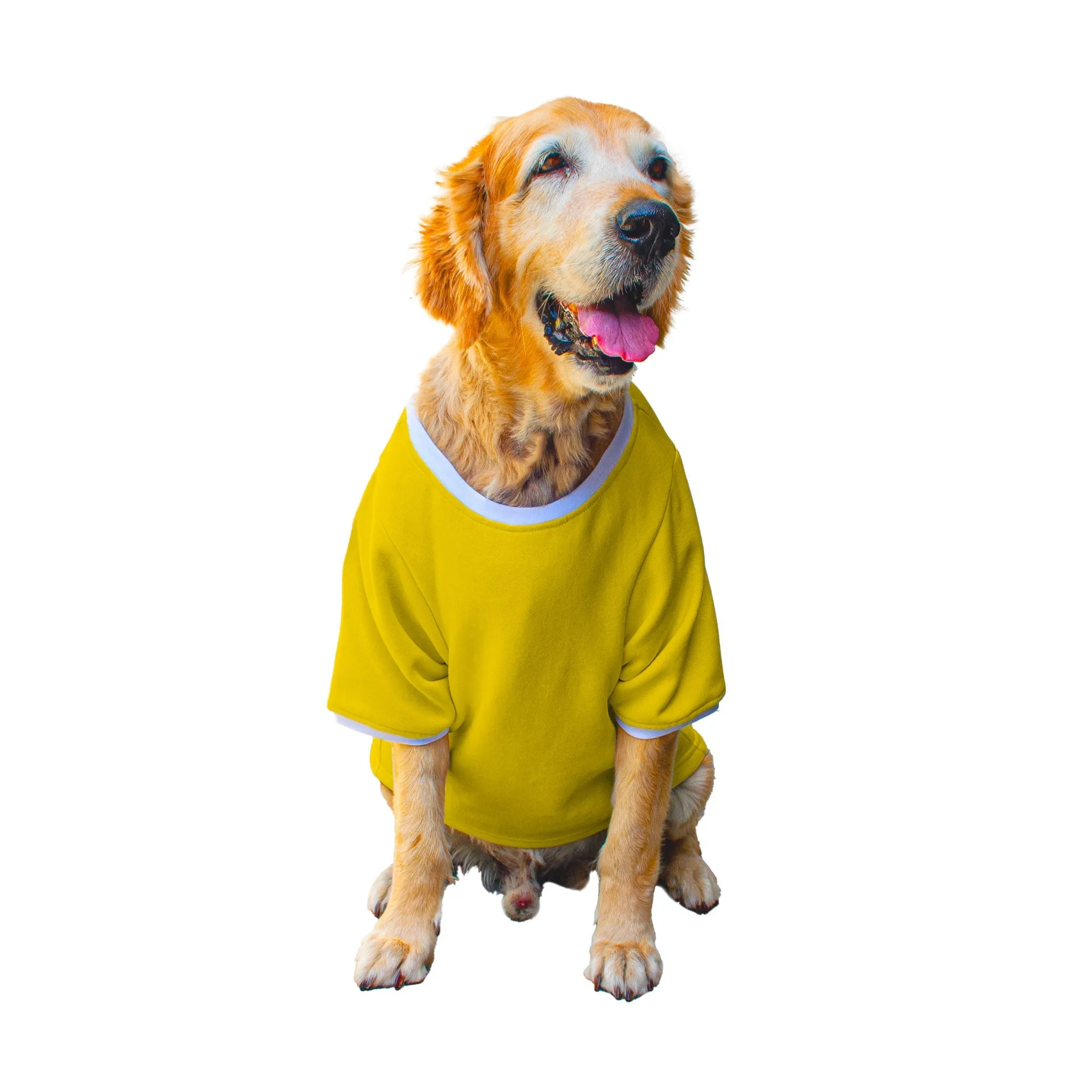 Ruse 'Basics' "It's Leg Day!" Printed Crew Neck Full Sleeve Expedition Sweatshirt For Dogs