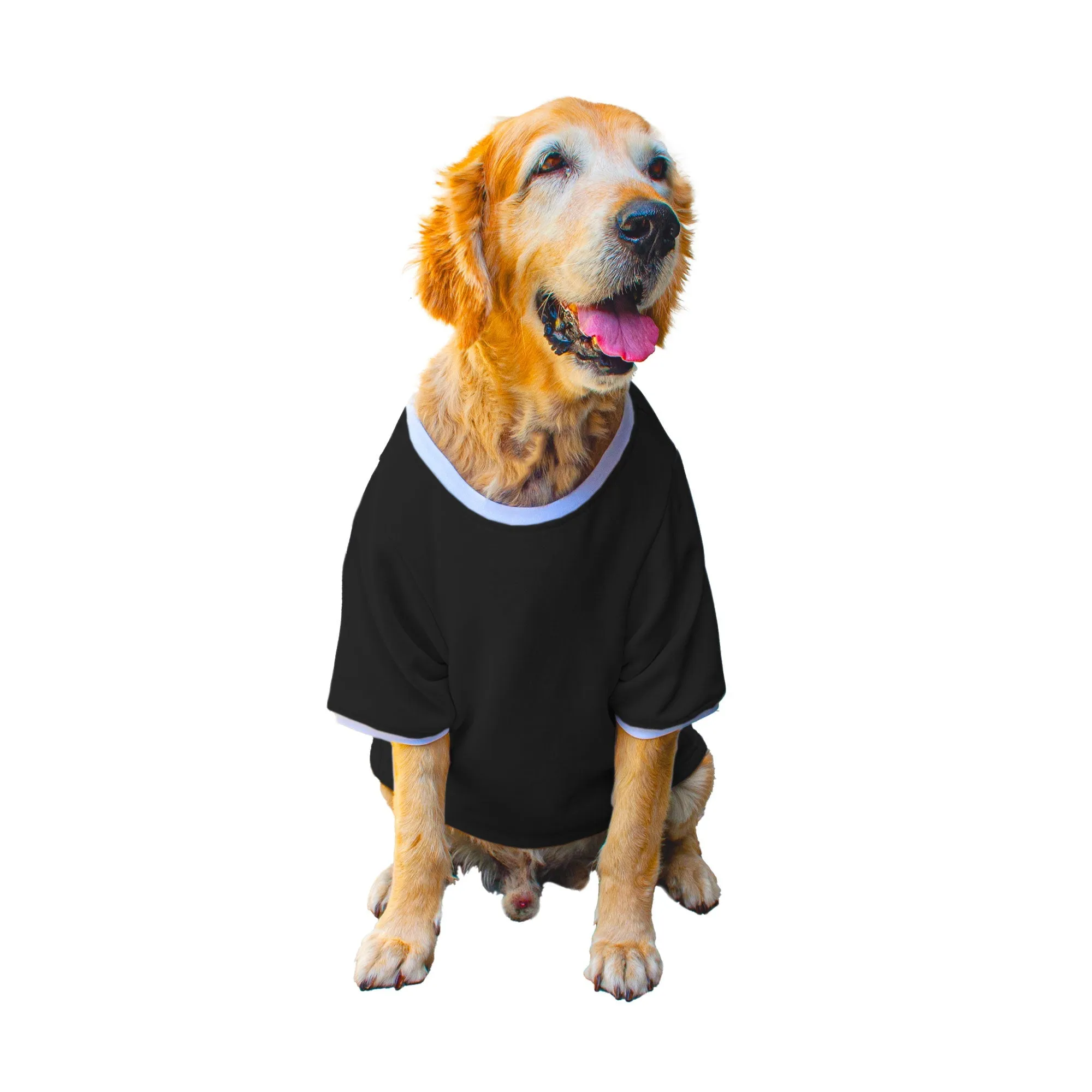 Ruse 'Basics' "It's Leg Day!" Printed Crew Neck Full Sleeve Expedition Sweatshirt For Dogs