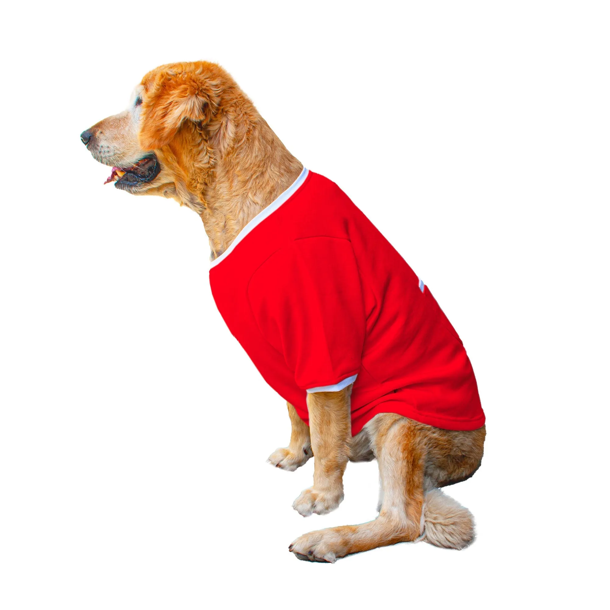 Ruse 'Basics' "It's Leg Day!" Printed Crew Neck Full Sleeve Expedition Sweatshirt For Dogs