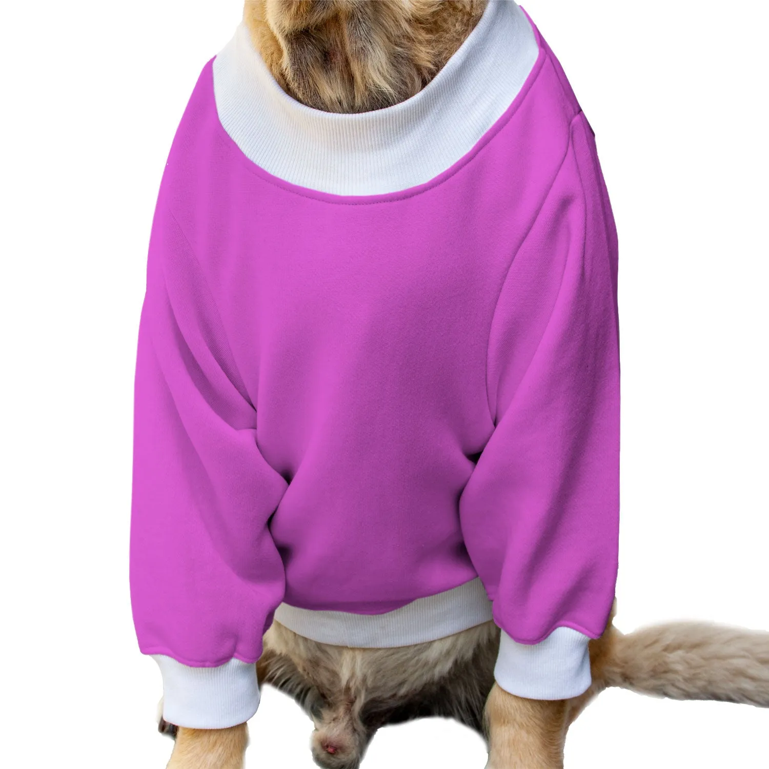 Ruse 'Basics' "Spooky Halloween" Printed Crew Neck Full Sleeve Sweatshirt For Dogs