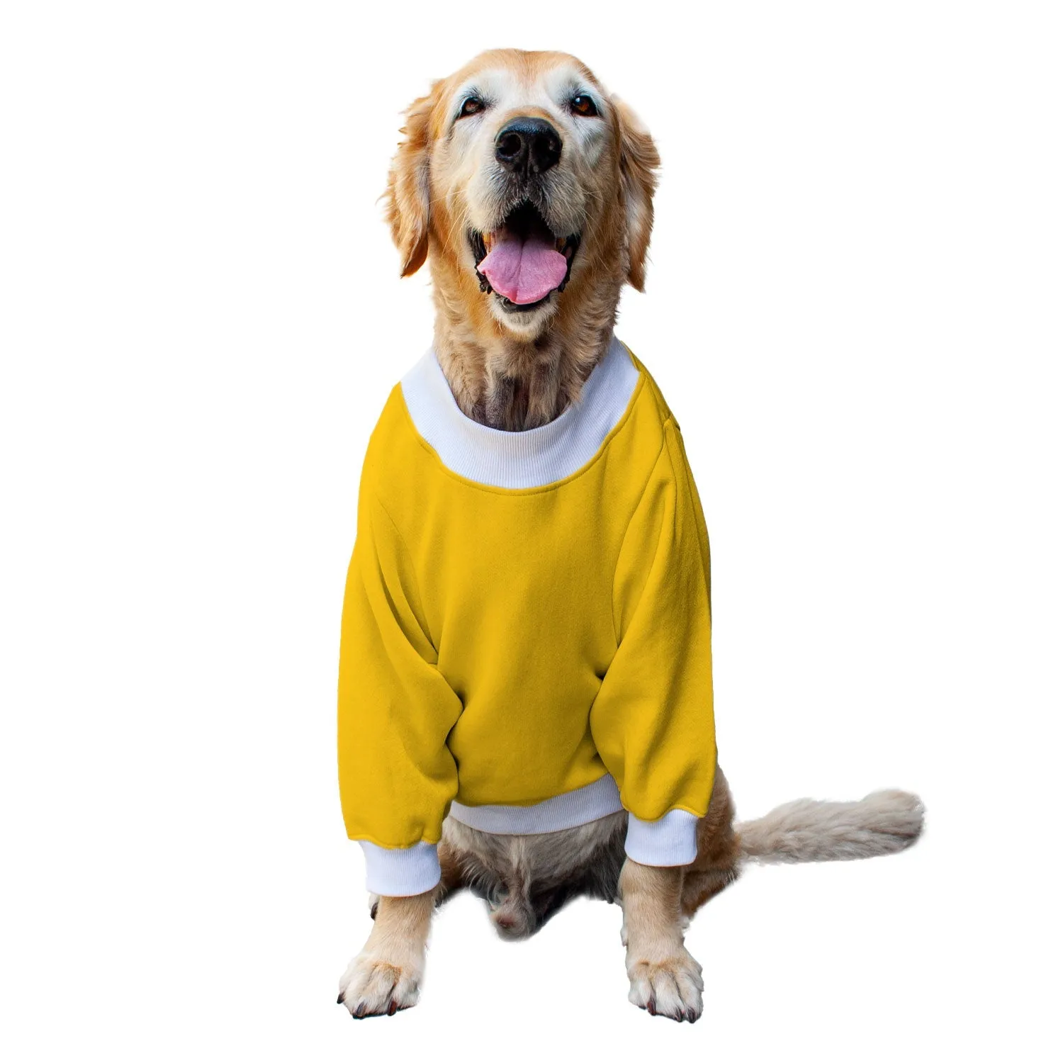 Ruse 'Basics' "Spooky Halloween" Printed Crew Neck Full Sleeve Sweatshirt For Dogs