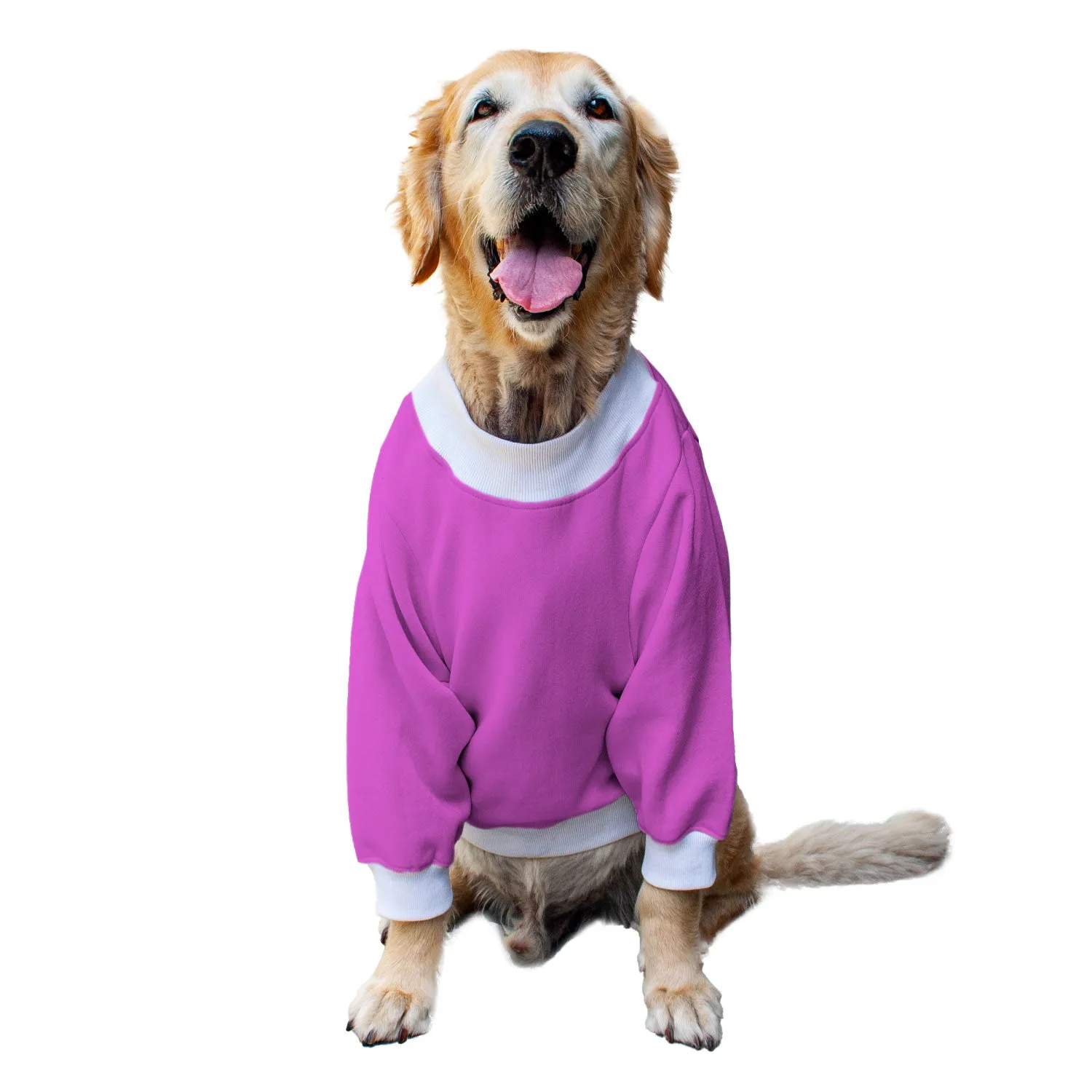 Ruse 'Basics' "Spooky Halloween" Printed Crew Neck Full Sleeve Sweatshirt For Dogs