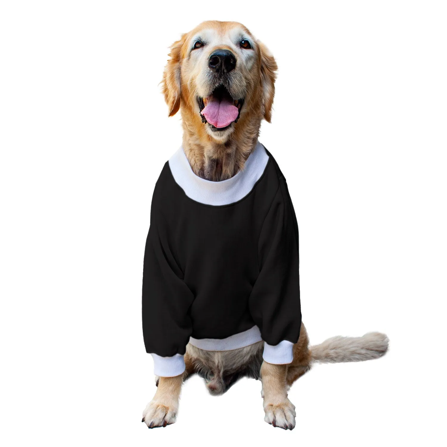 Ruse 'Basics' "Spooky Halloween" Printed Crew Neck Full Sleeve Sweatshirt For Dogs