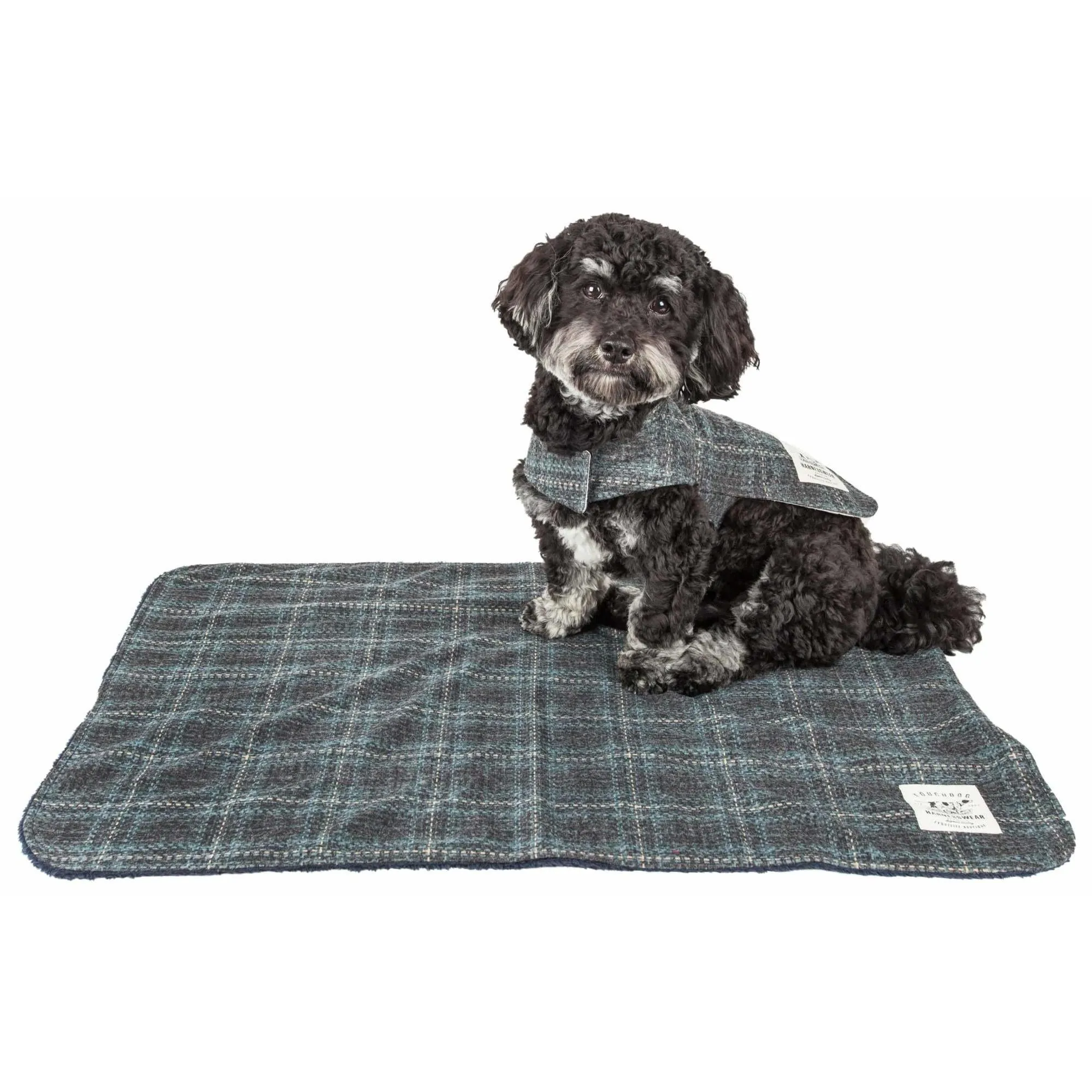 Stylish Dog Jacket with Matching Dog Mat